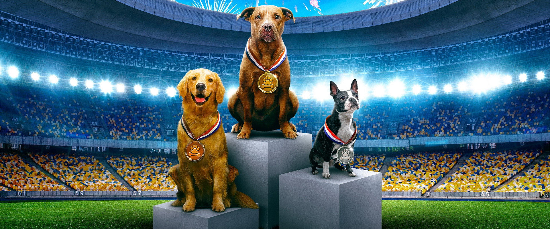 Puppy Bowl Presents: The Summer Games backdrop