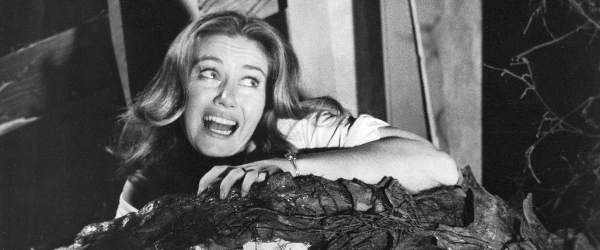 The Day of the Triffids backdrop