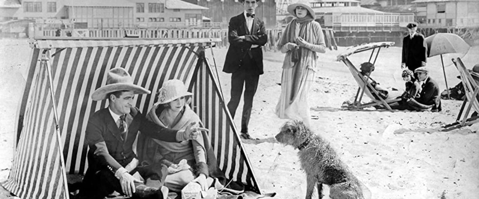 Desert Love backdrop