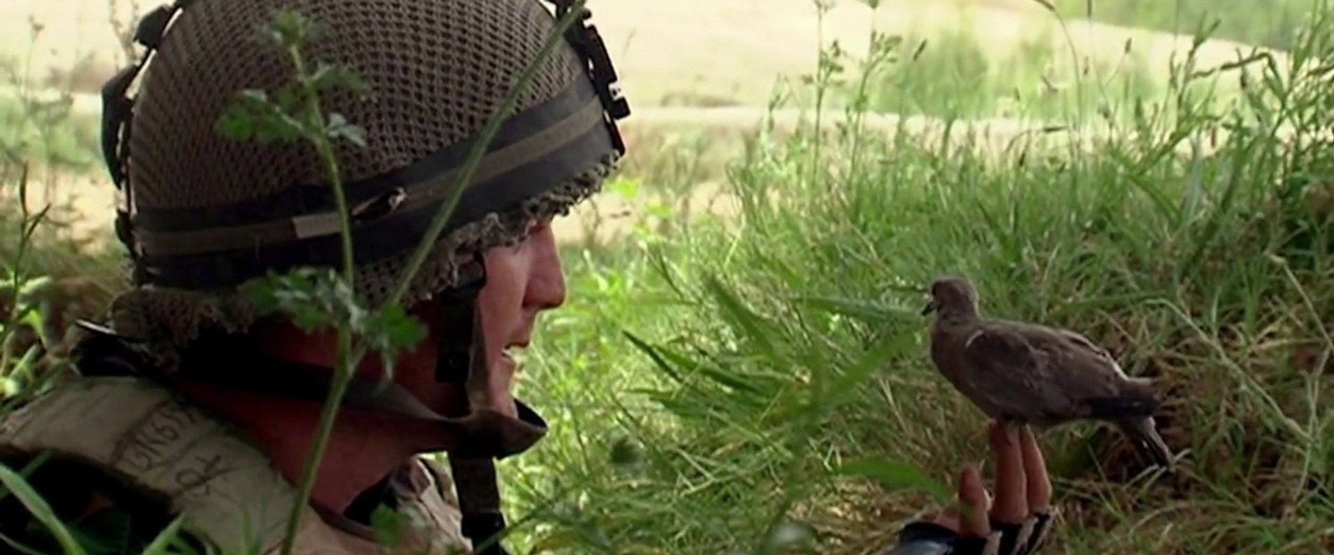 Bitter Lake backdrop