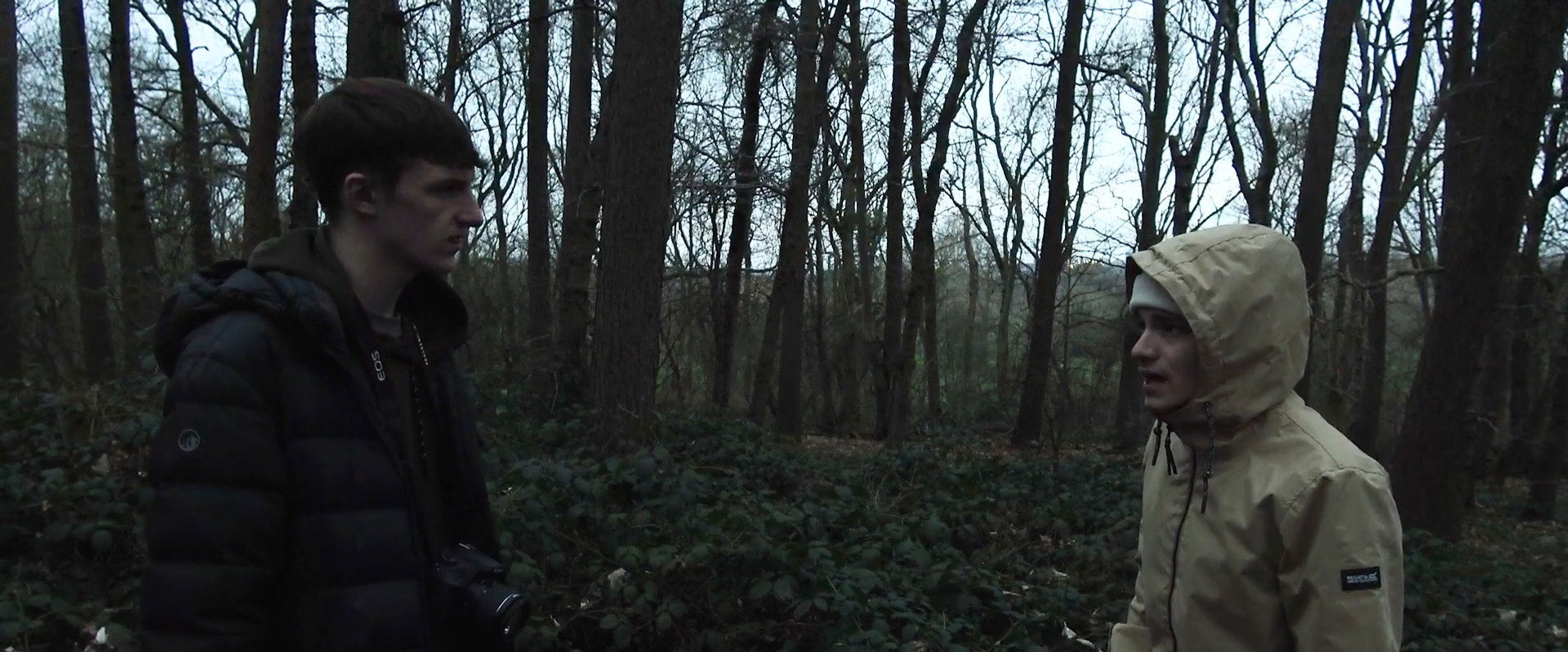 The Woods That Wail backdrop