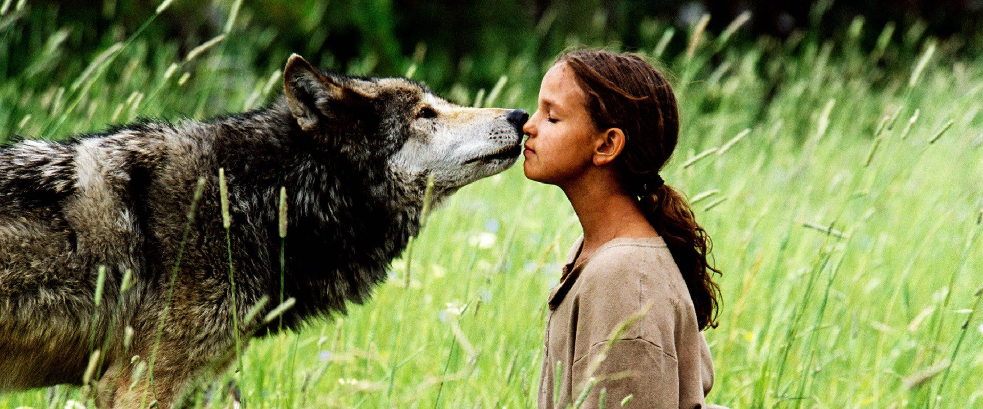 Wolf Summer backdrop