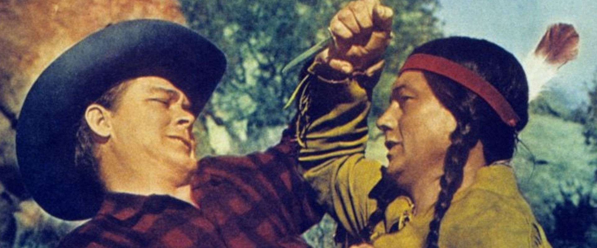 Wild Stallion backdrop