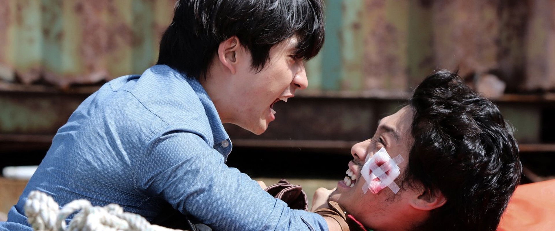 Fist & Furious backdrop