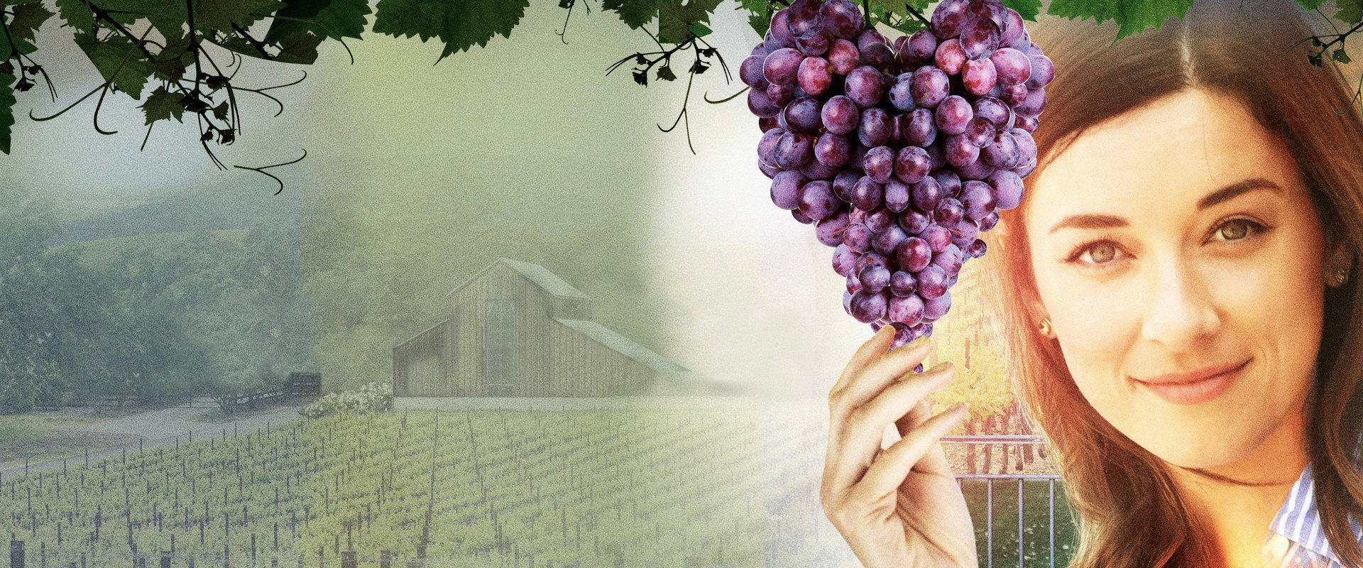 Love on the Vines backdrop