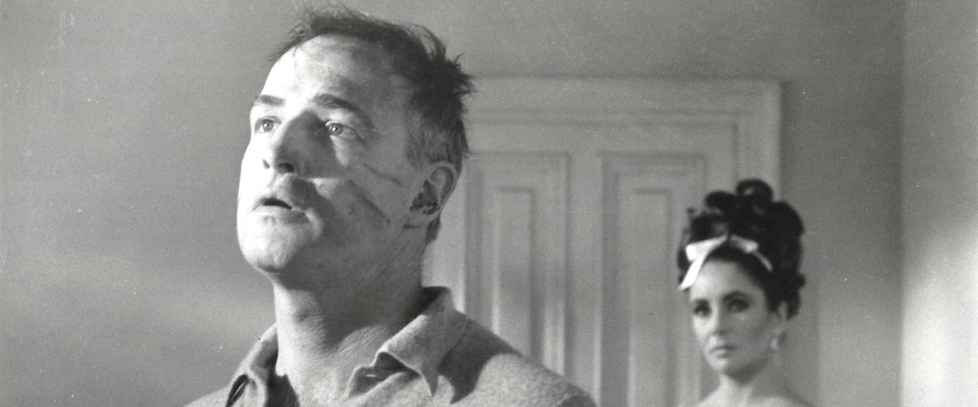 Reflections in a Golden Eye backdrop