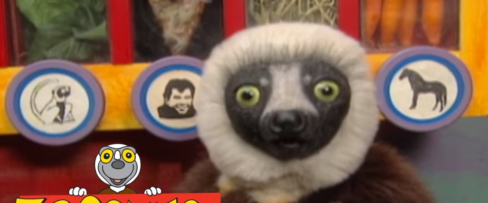 Zoboomafoo