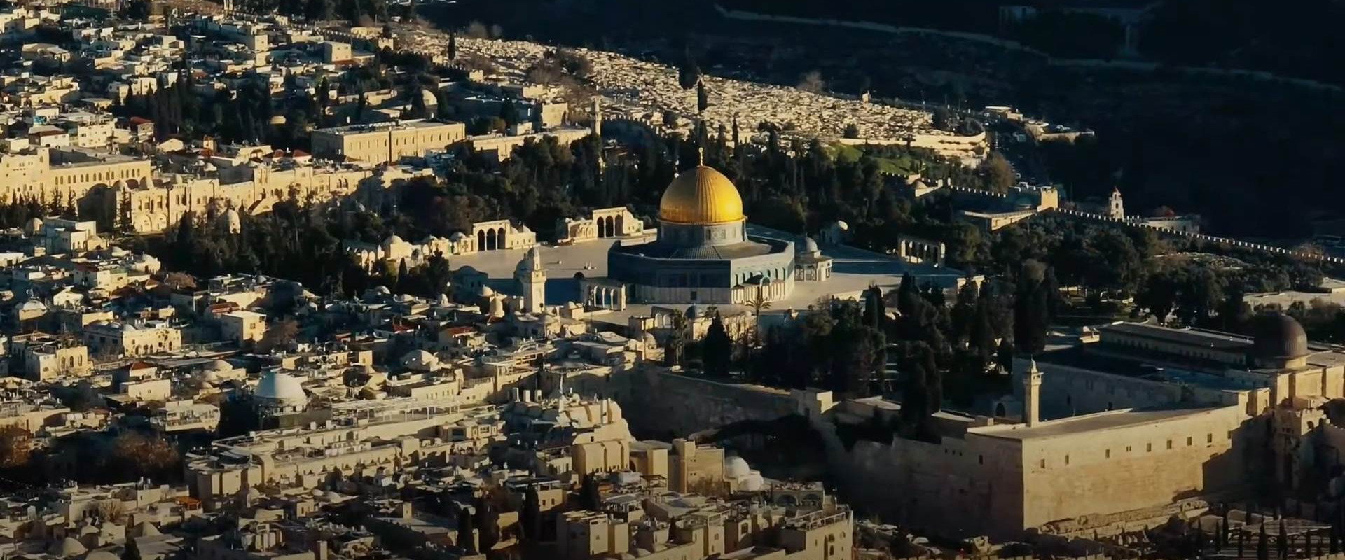 From the River to the Sea - Um Filme Sobre a Guerra em Israel backdrop