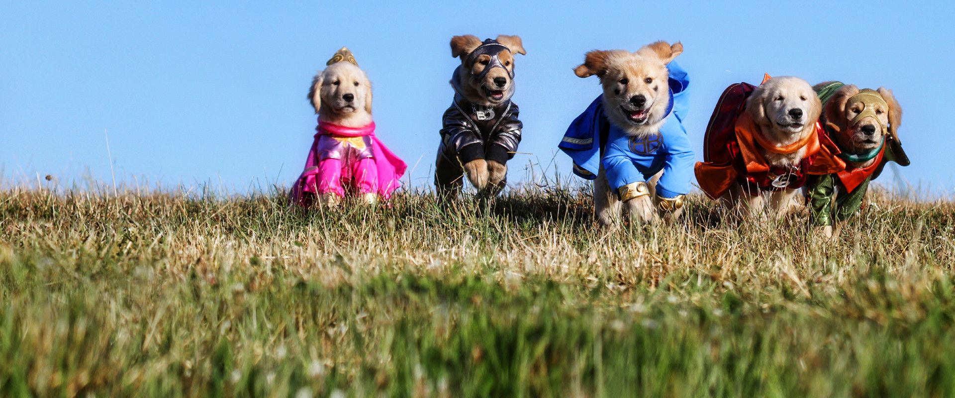Super Buddies backdrop