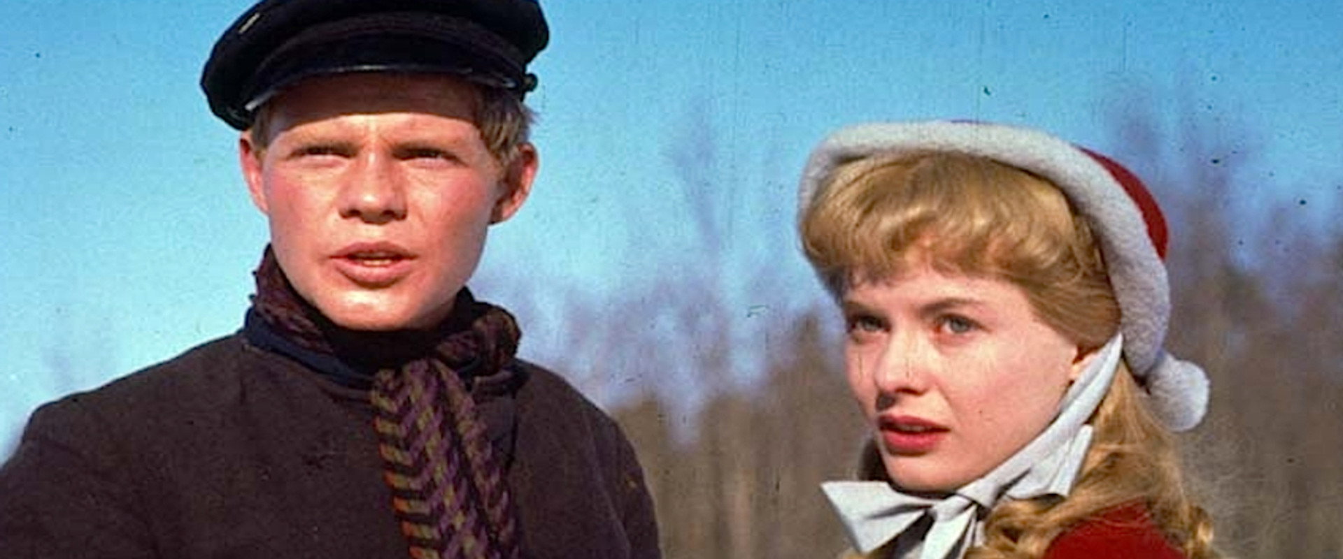 Hans Brinker, or the Silver Skates backdrop