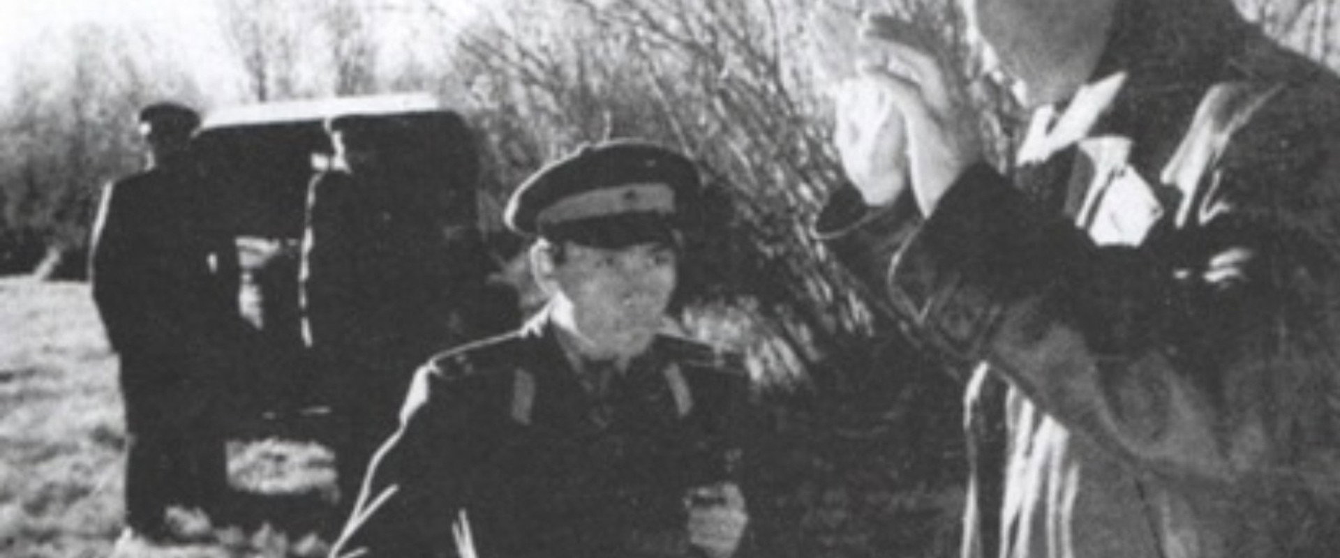 Daybreak backdrop
