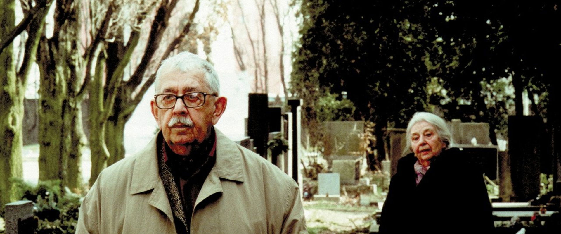 Autumn Spring backdrop