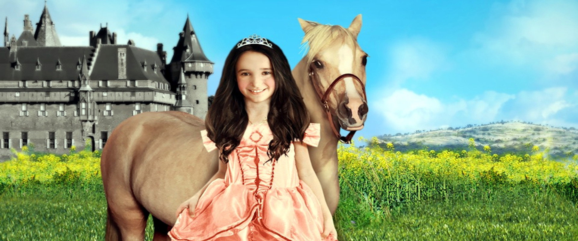 Princess and the Pony backdrop
