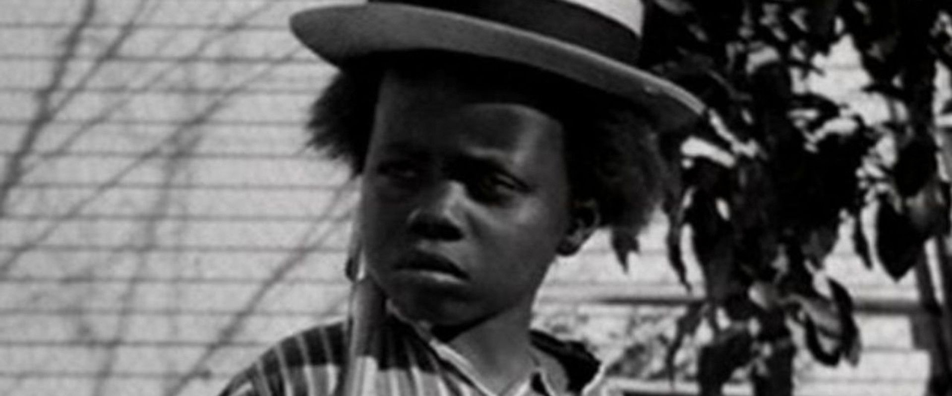 Canned Fishing backdrop