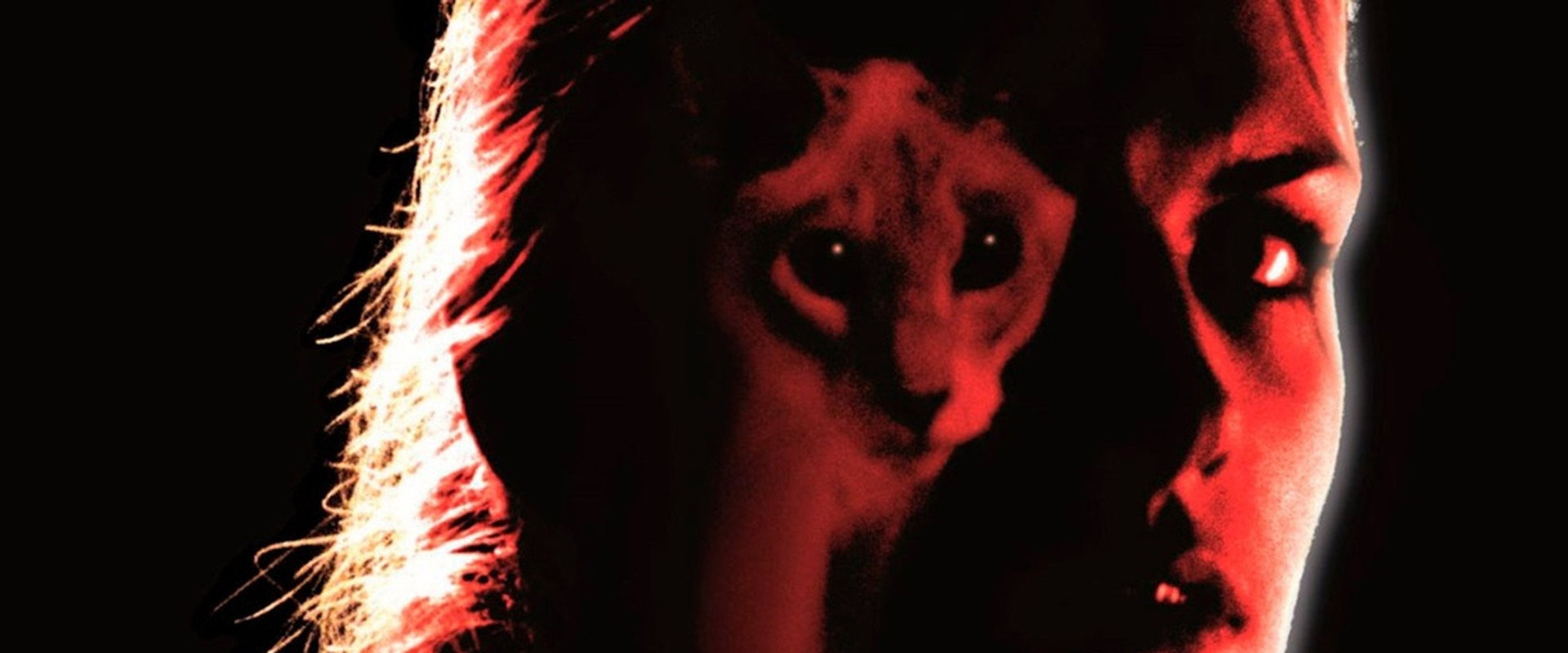 Kat backdrop