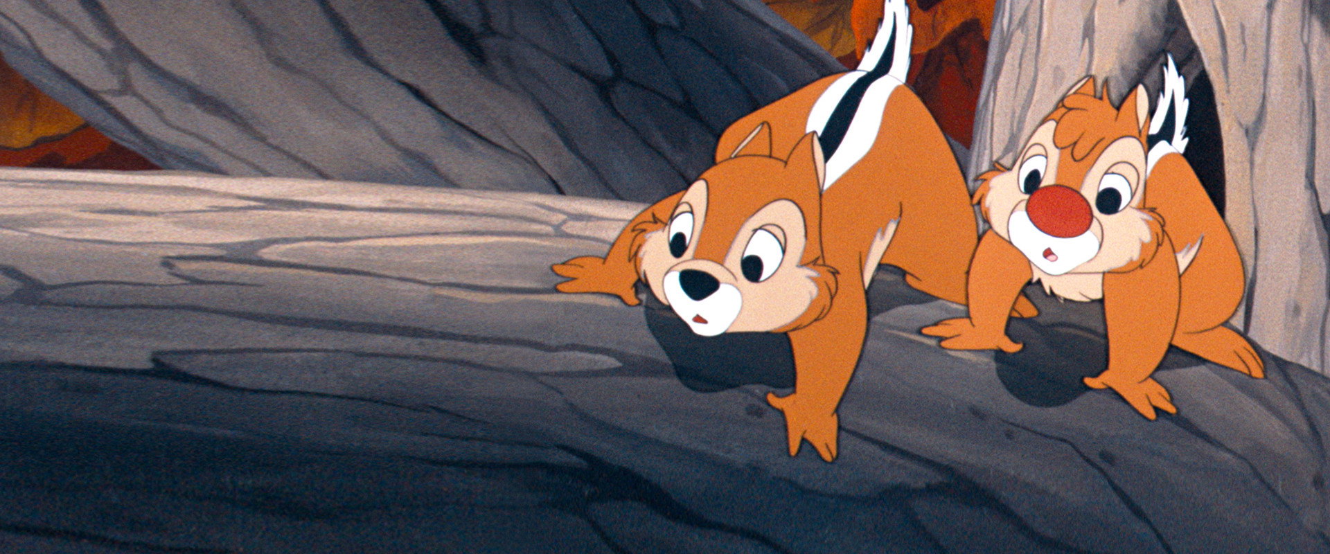 Winter Storage backdrop