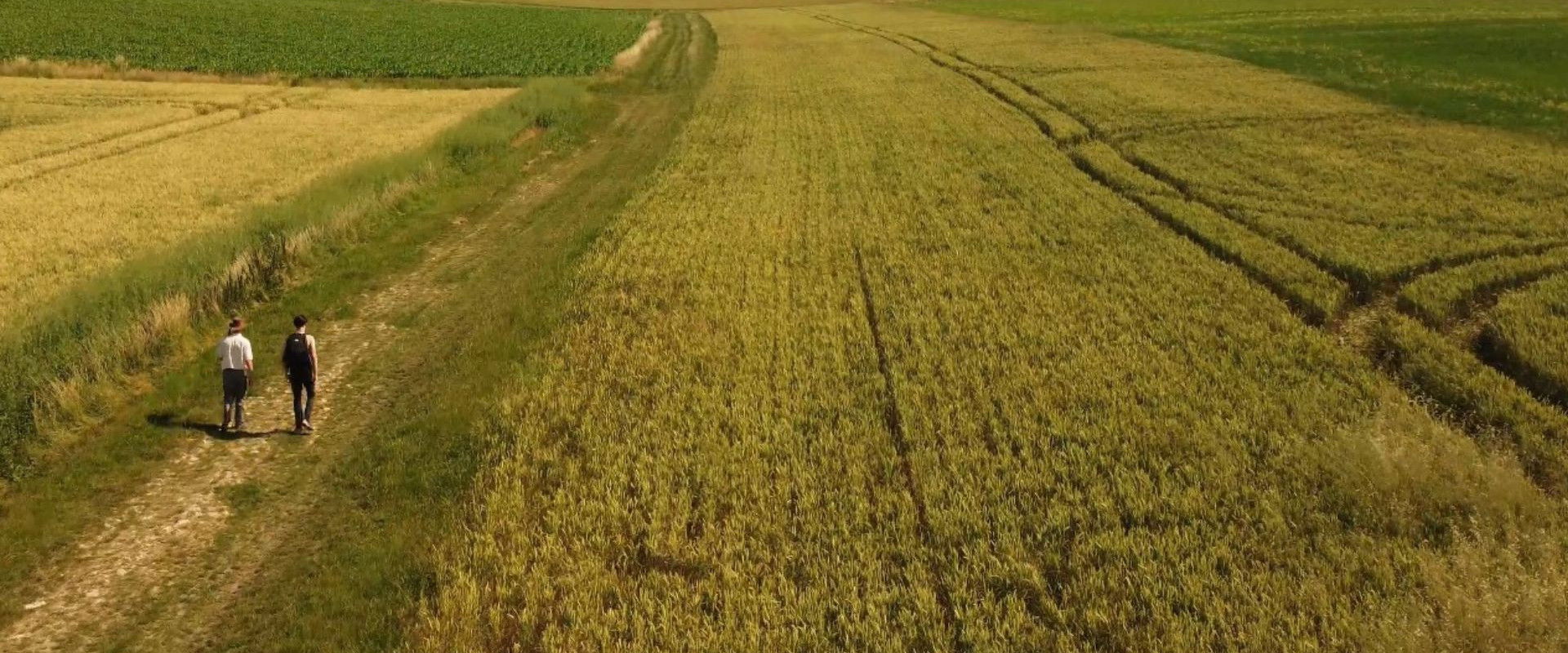 Pray Not to Die backdrop