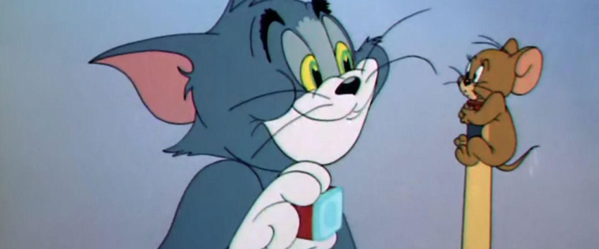 Cue Ball Cat backdrop