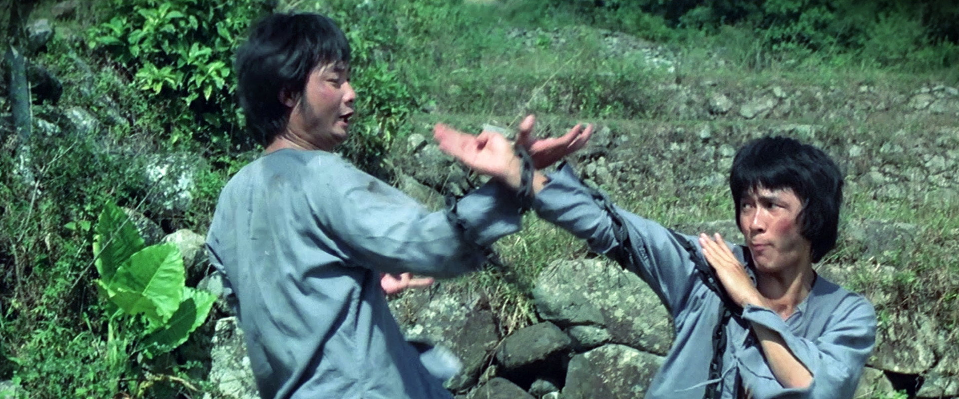 Monkey Kung Fu backdrop