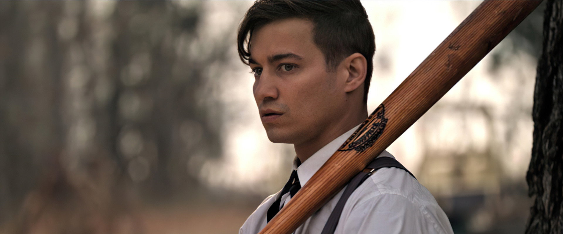 The Silent Natural backdrop