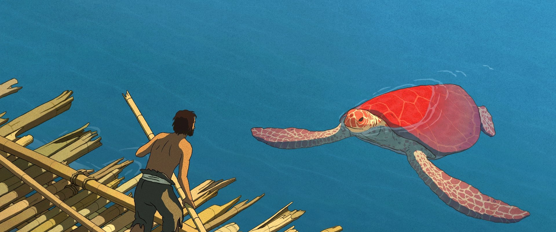 The Red Turtle backdrop