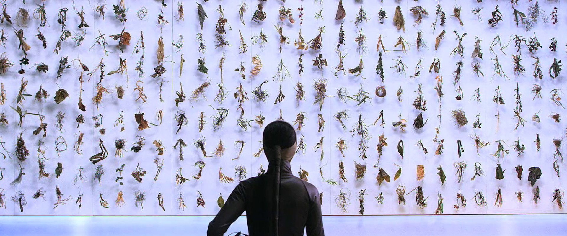 El Fin del Mundo backdrop