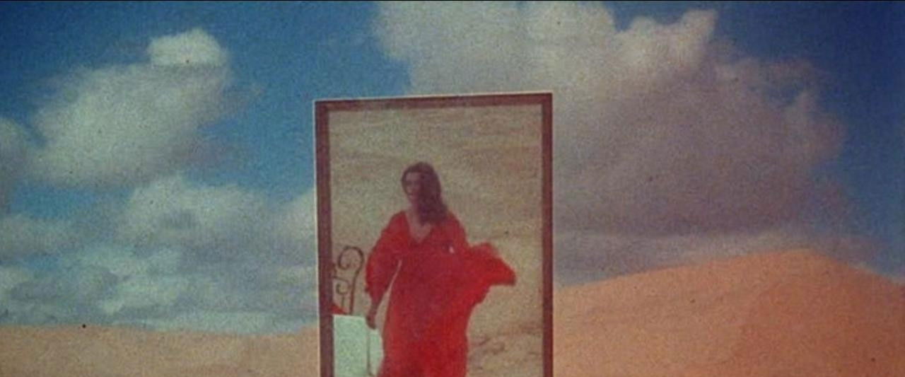 The Velvet Vampire backdrop