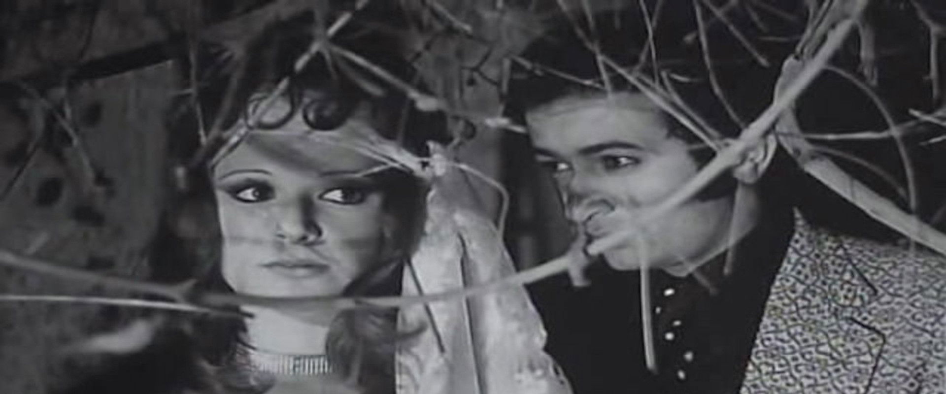 Word of Honour backdrop