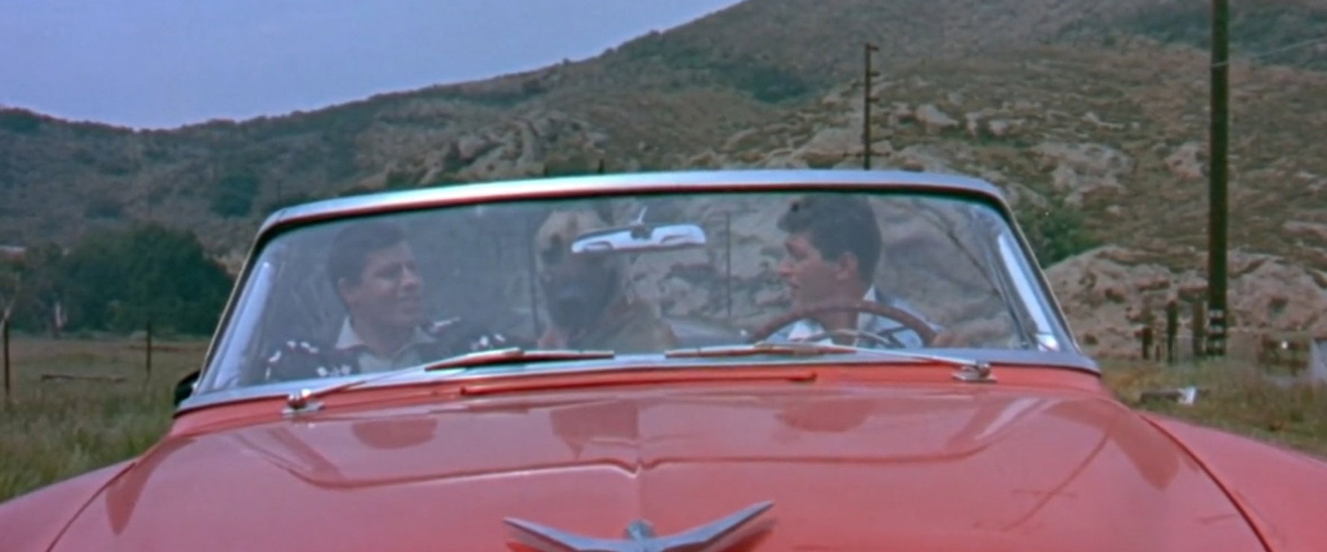 Hollywood or Bust backdrop