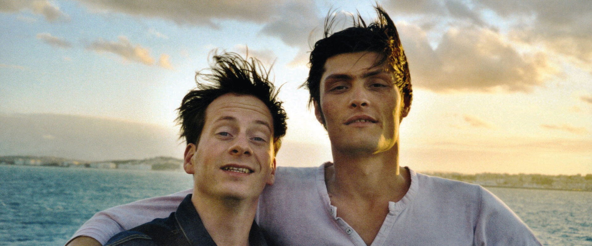 SommerHundeSöhne backdrop