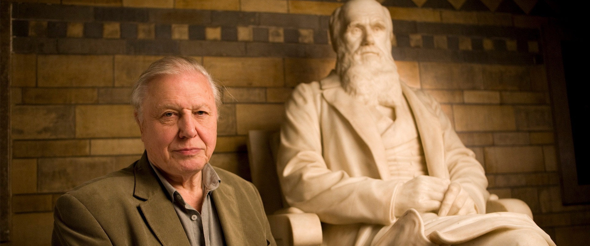 Charles Darwin and the Tree of Life backdrop