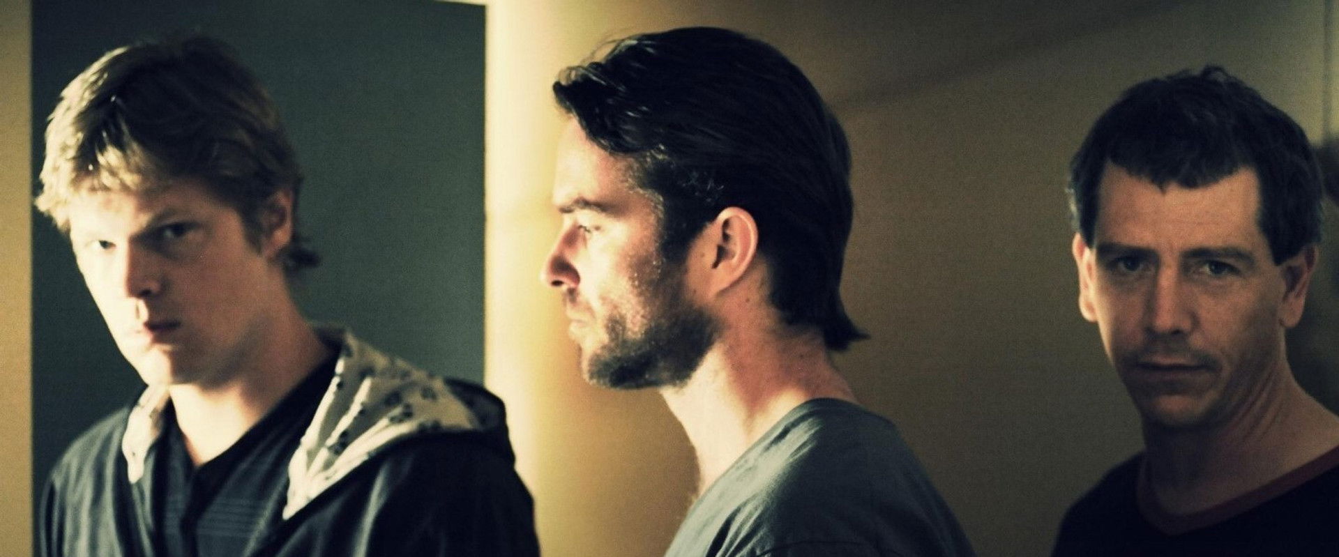 Animal Kingdom backdrop