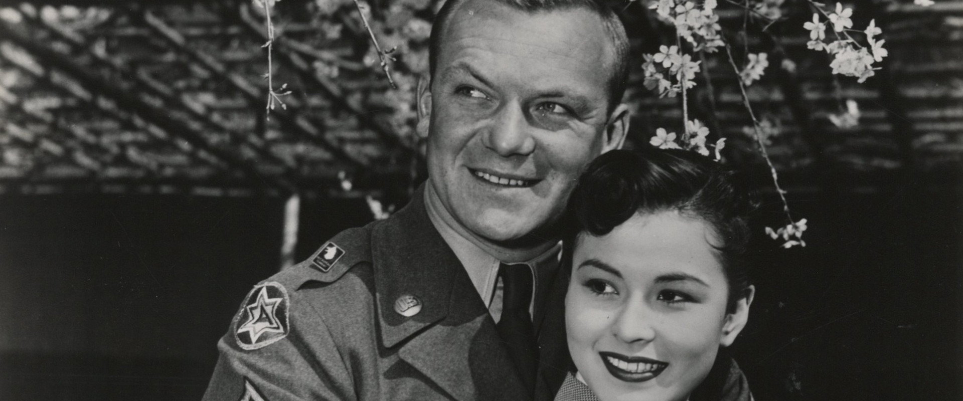 Three Stripes in the Sun backdrop