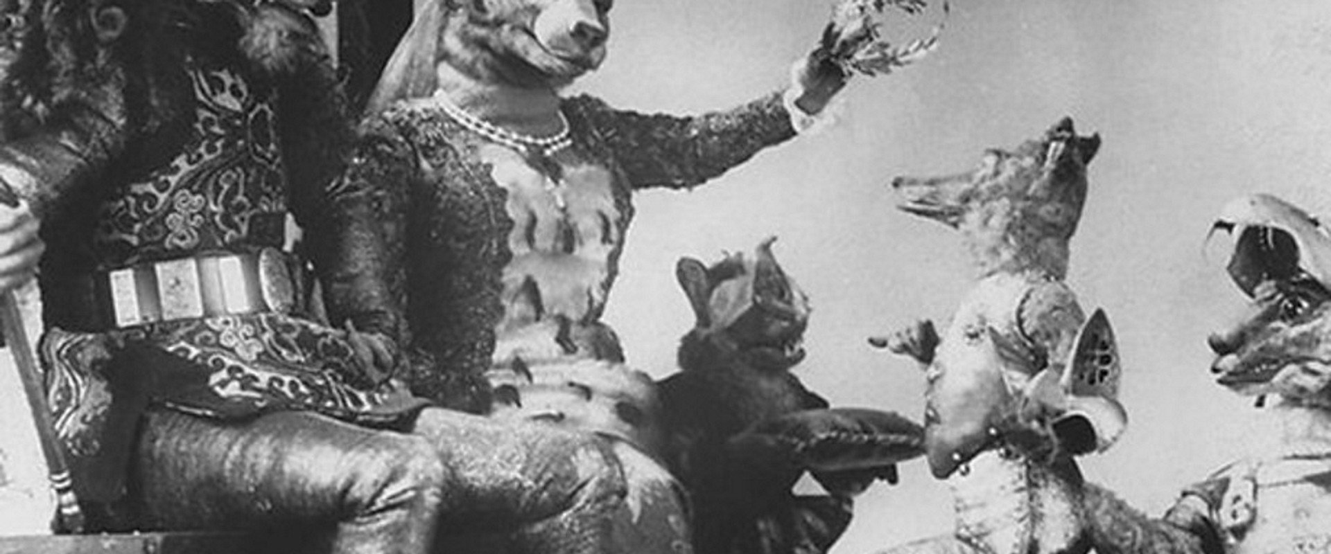 The Tale of the Fox backdrop