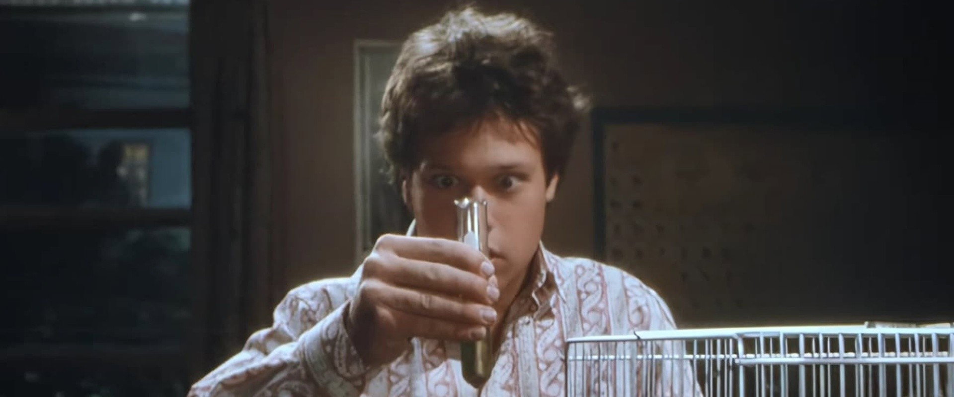 The Invisible Kid backdrop