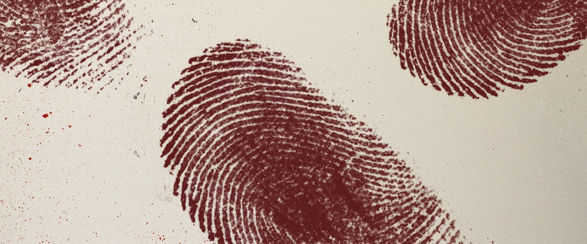 True Crime Belgium