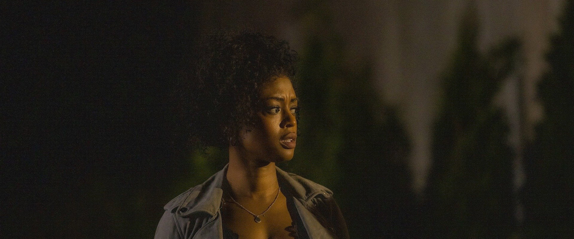 Double Life backdrop