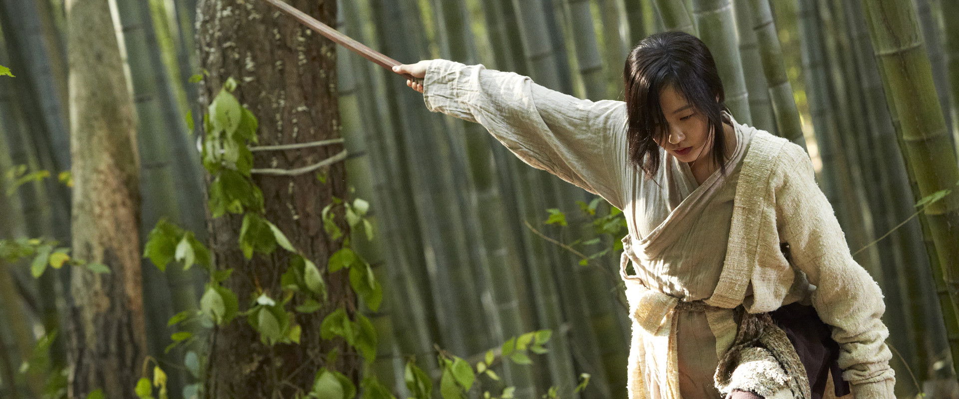 Memories of the Sword backdrop