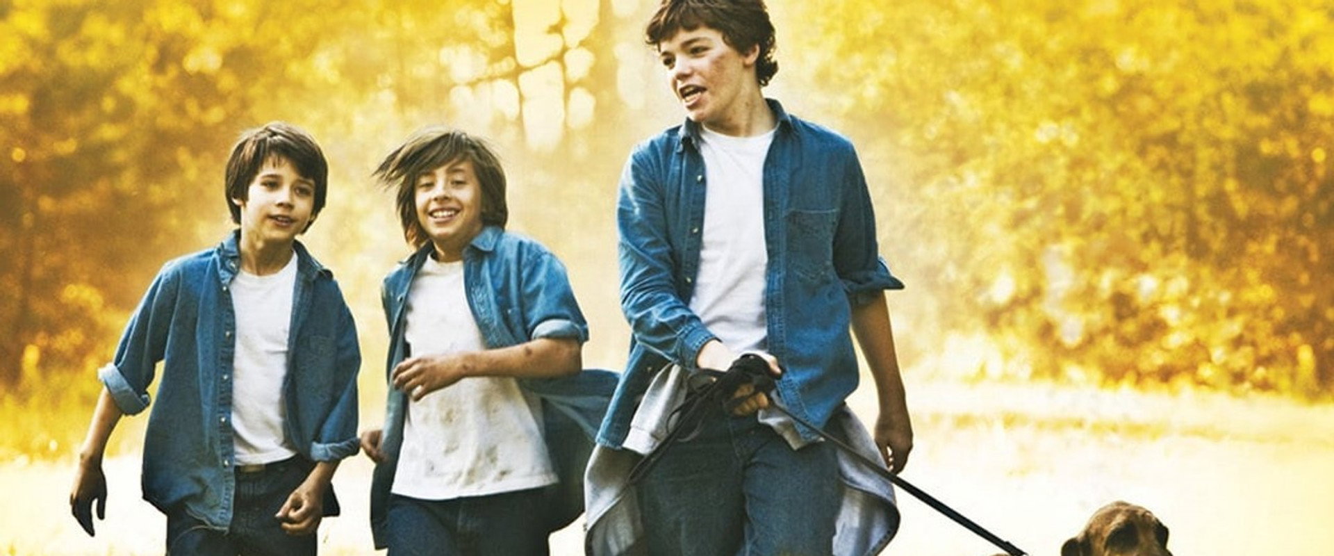 Alabama Moon backdrop