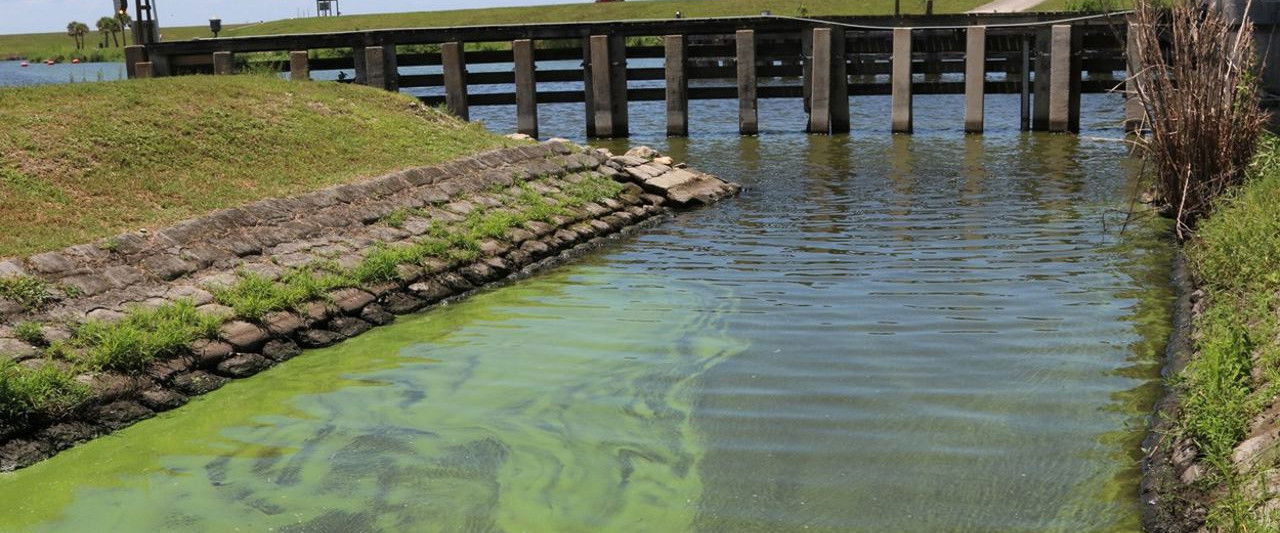 Toxic Puzzle backdrop