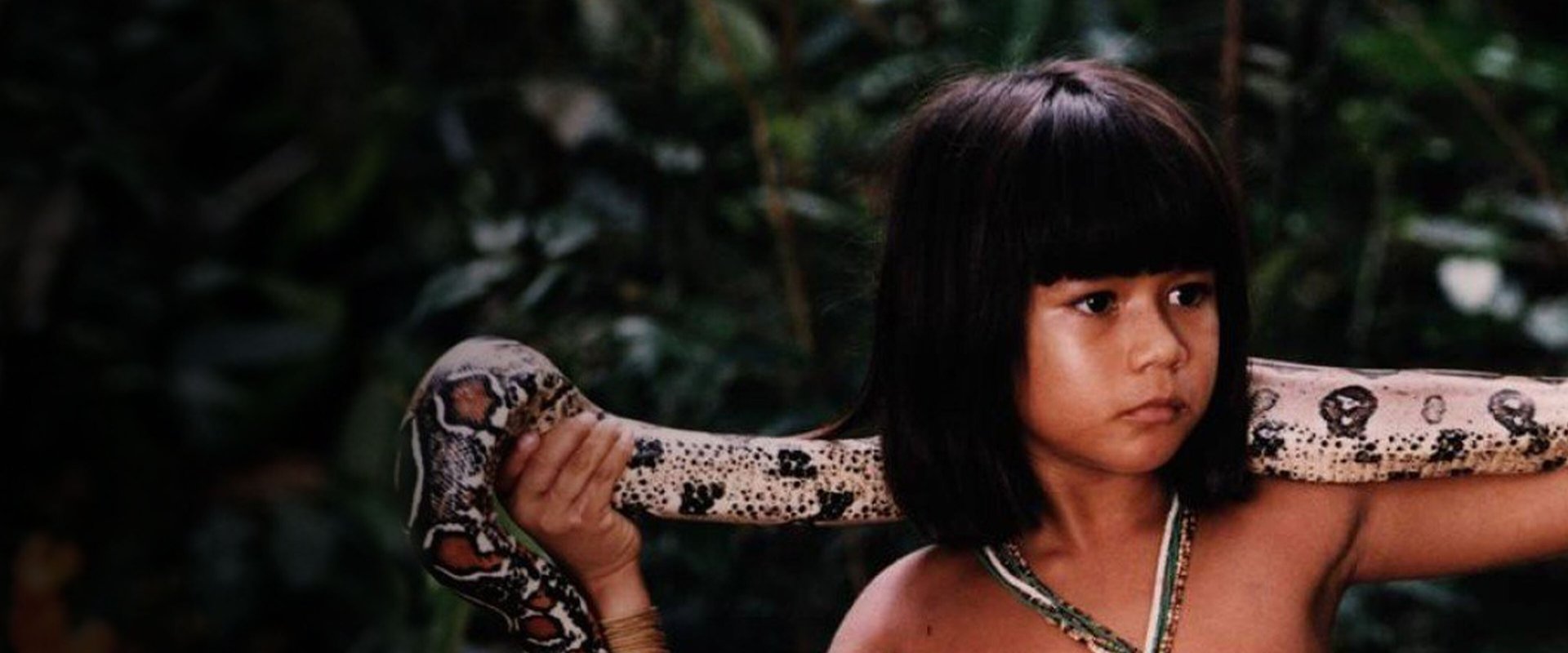 Tainá: An Amazon Adventure backdrop