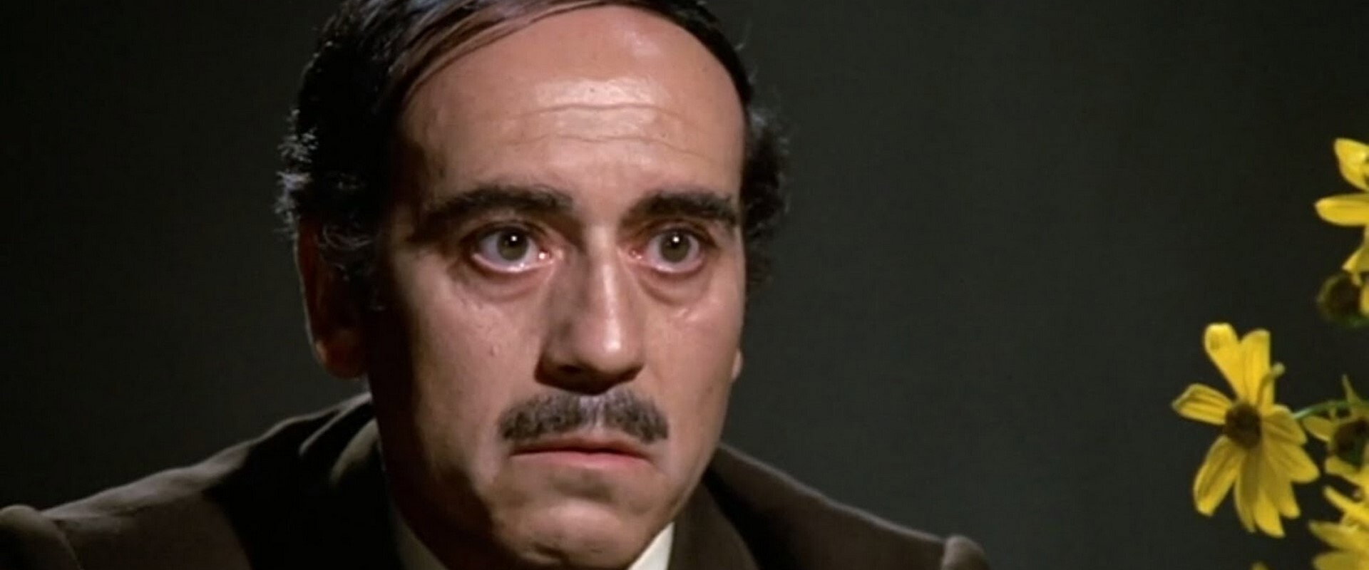 La cera virgen backdrop