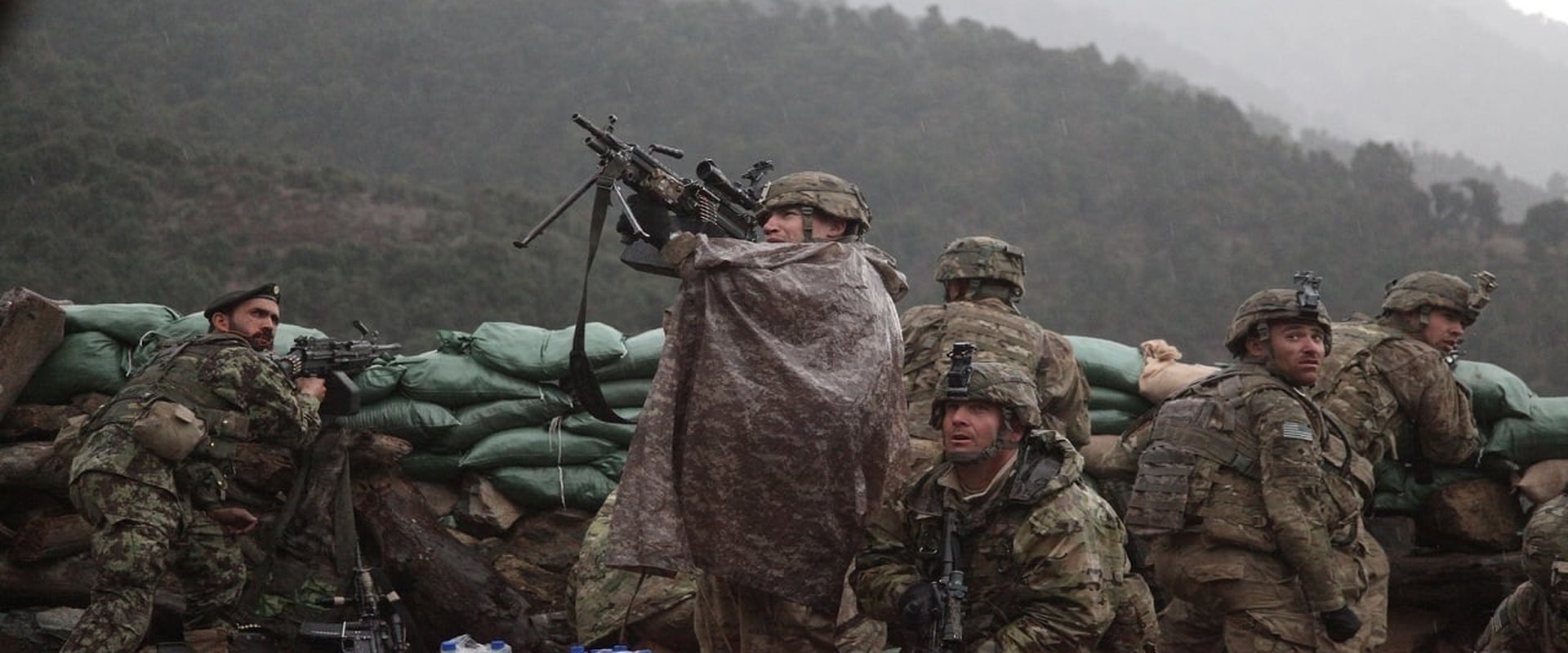 The Hornet's Nest