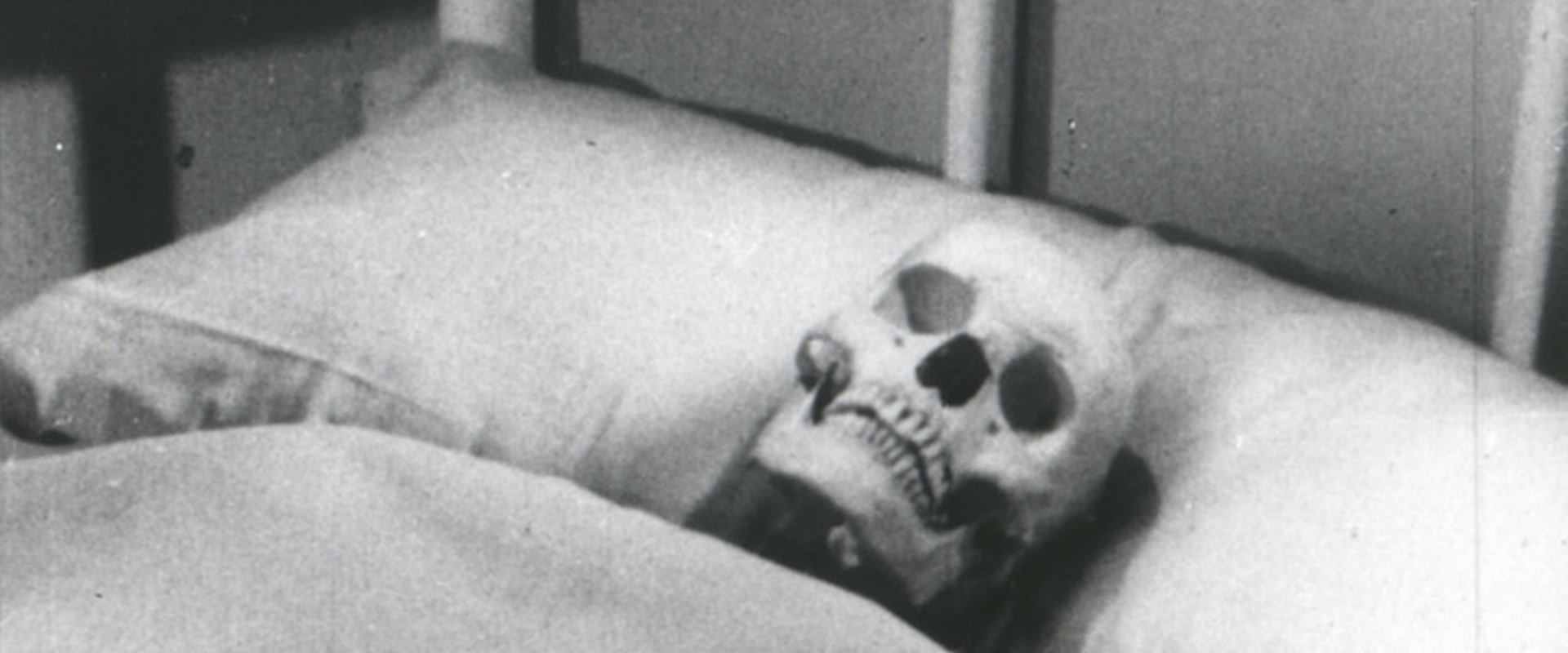 Tribulation 99: Alien Anomalies Under America
