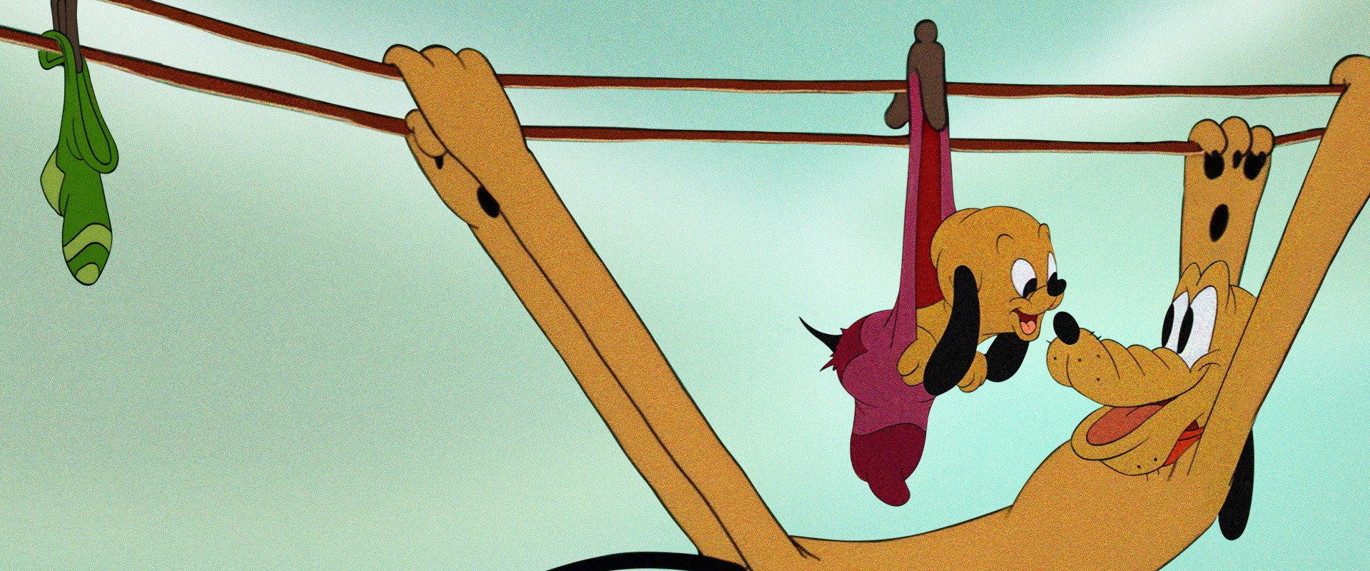 Pluto Junior backdrop