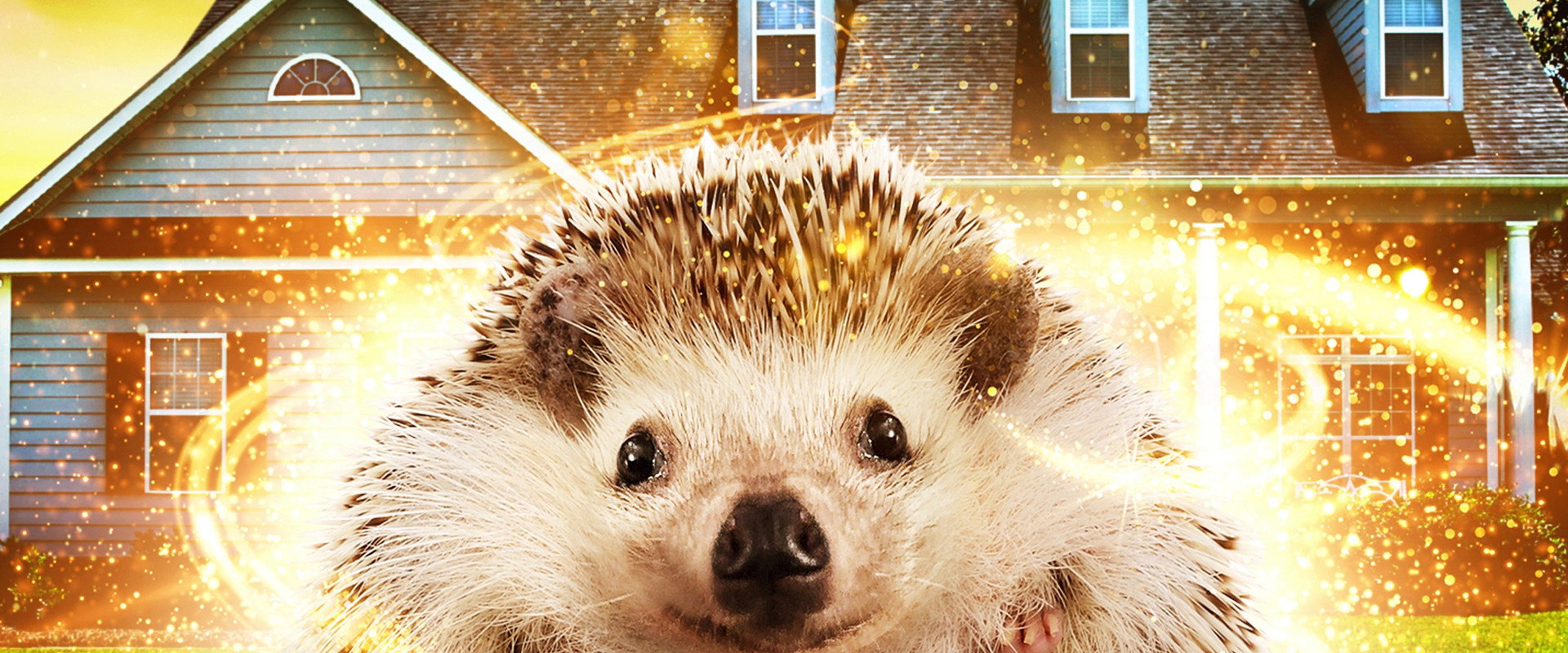 Andy the Talking Hedgehog backdrop