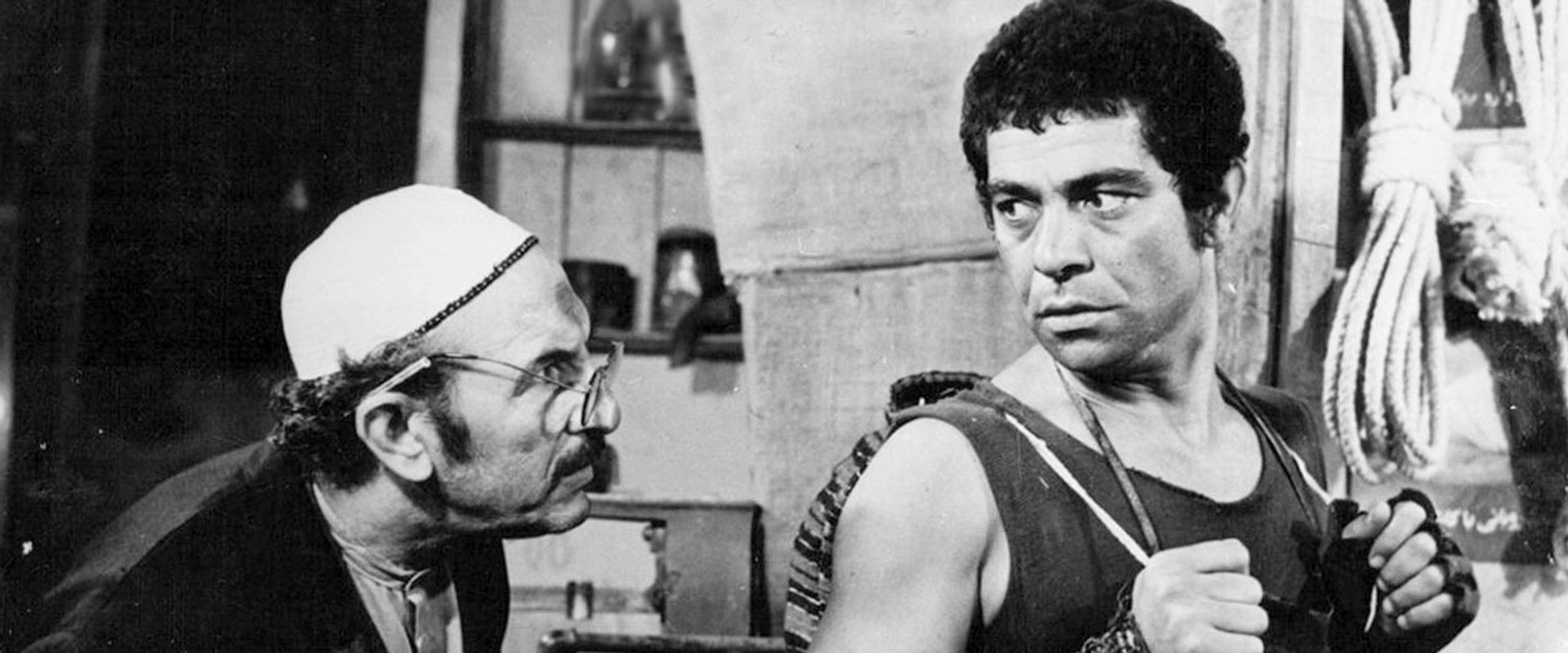 The Hateful Wolf backdrop