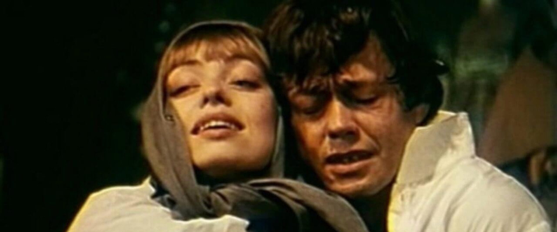 Juno and Avos backdrop