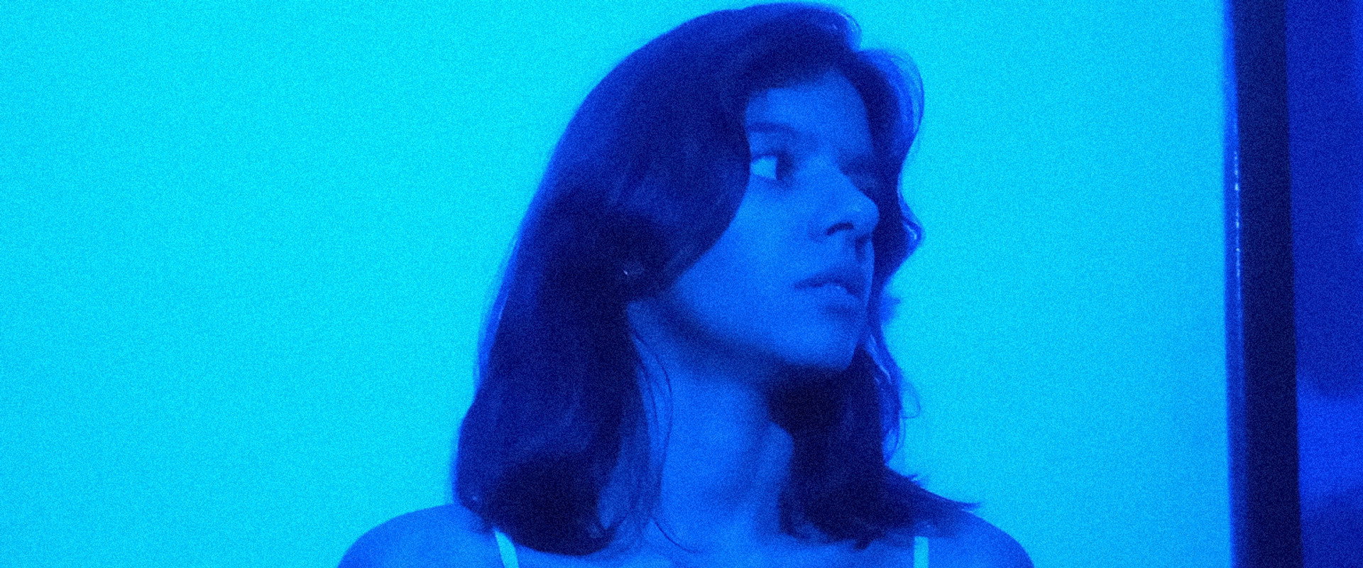 A Febre backdrop