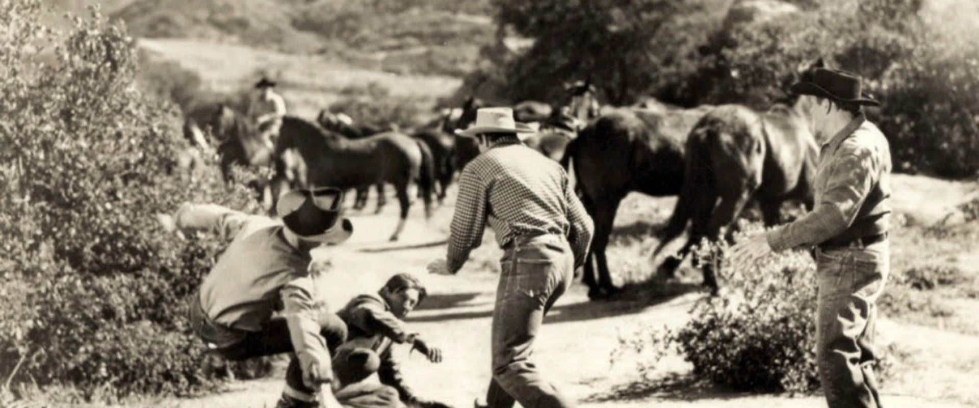 Black Eagle backdrop